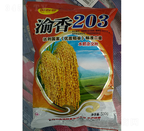 渝香203-水稻種子-神農科技