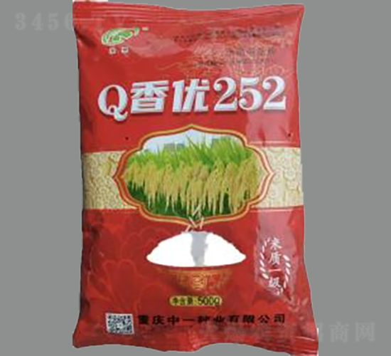 Q香優252-水稻種子-神農科技