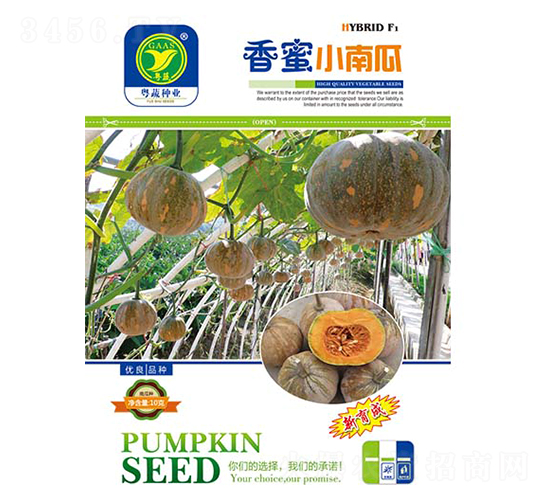 é¦™èœœå°å—ç“œ-å—ç“œç¨®å­-å¤©ç¦¾è¾²è³‡