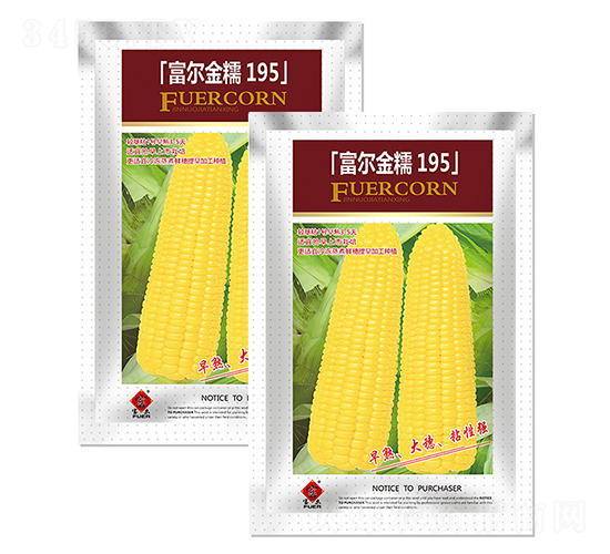 富爾金糯195-玉米種子-富爾農藝