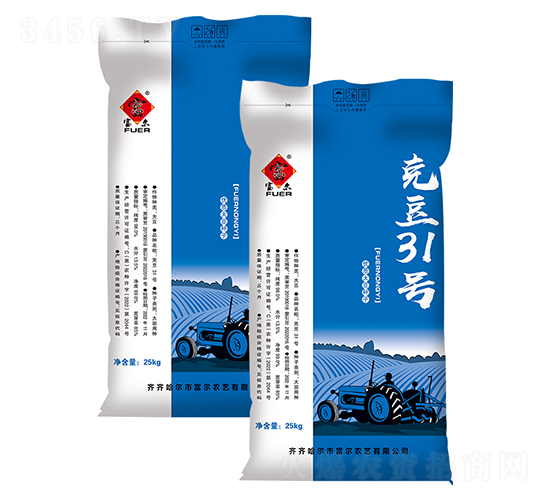 克豆31號-大豆種子-富爾農藝