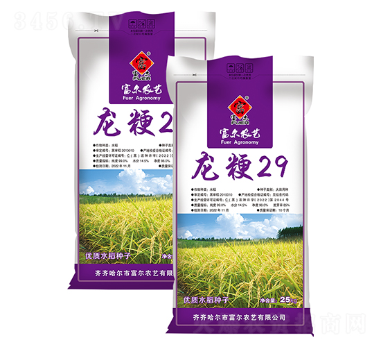 龍粳29-水稻種子-富爾農藝