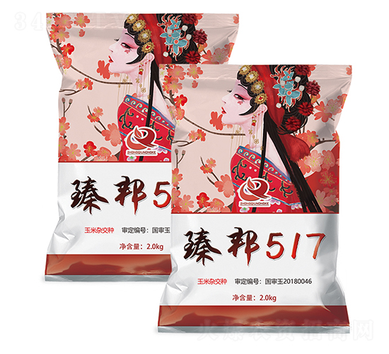 臻邦517-玉米種子-富爾農藝