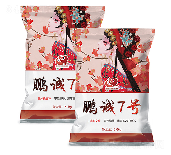 鵬誠7-玉米種子-富爾農藝