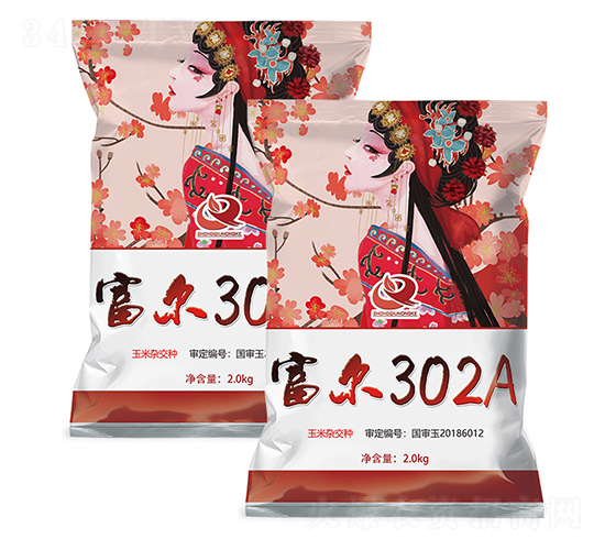 富爾302A-玉米種子-富爾農藝
