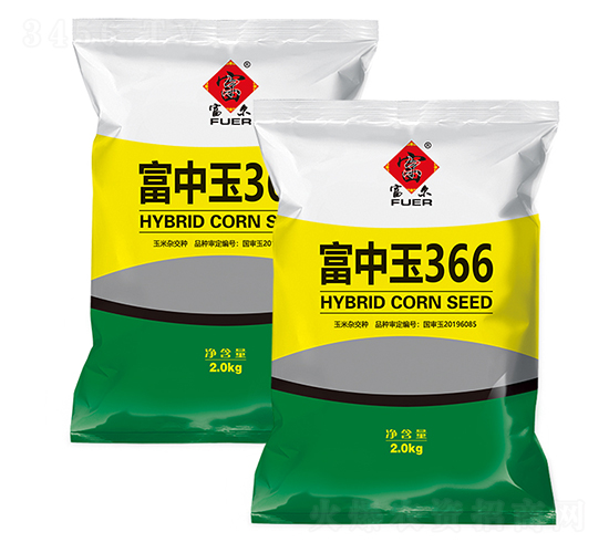 富中玉366-玉米種子-富爾農藝