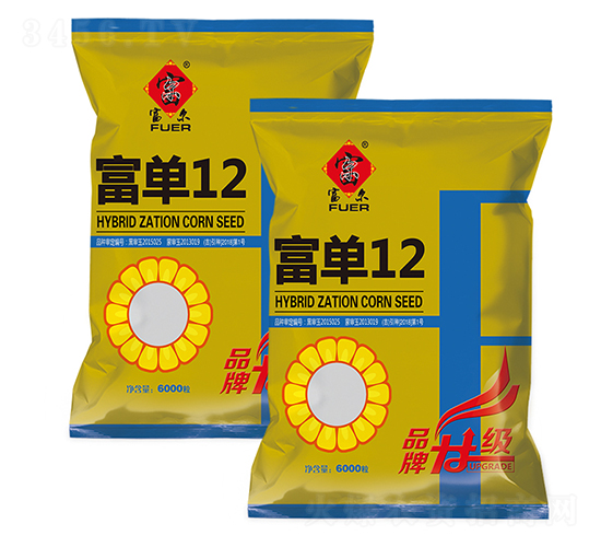 富單12-玉米種子-富爾農藝