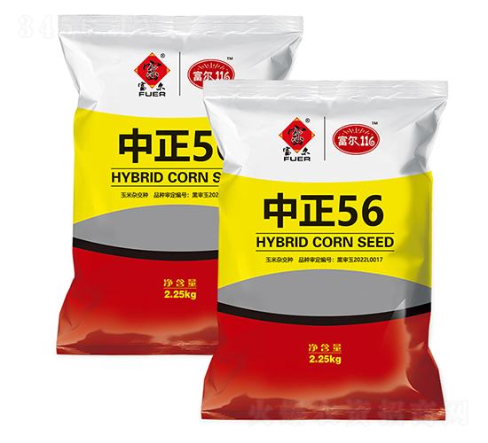 中正56-玉米種子-富爾農(nóng)藝