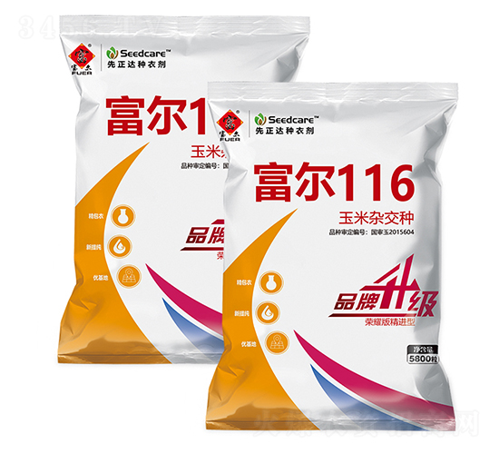 富爾116-玉米種子-富爾農藝