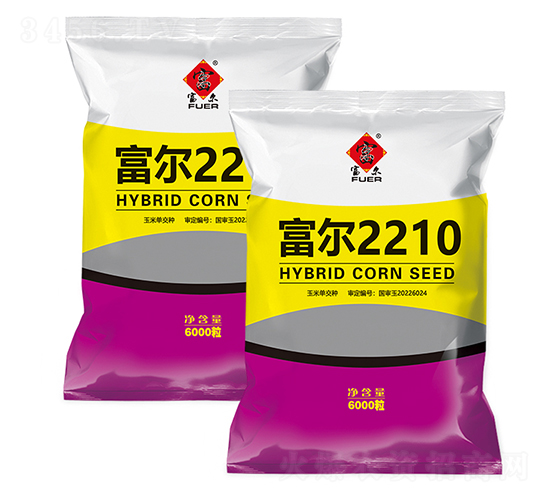 富爾2210-玉米種子-富爾農藝