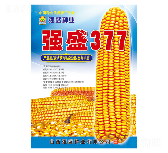 強盛377-玉米種子-強盛種業