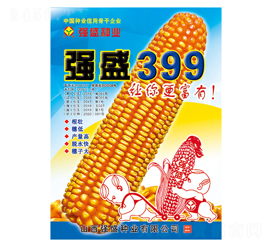 強盛399-玉米種子-強盛種業