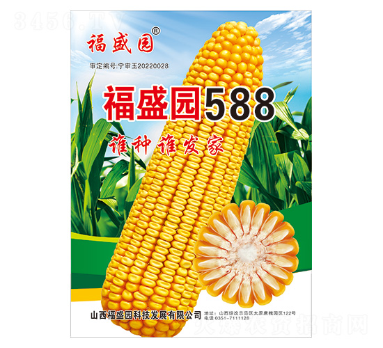 福盛園588-玉米種子-強盛種業