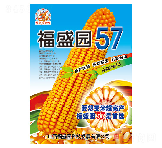 福盛園57-玉米種子-強盛種業