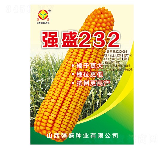 強(qiáng)盛232-玉米種子-強(qiáng)盛種業(yè)