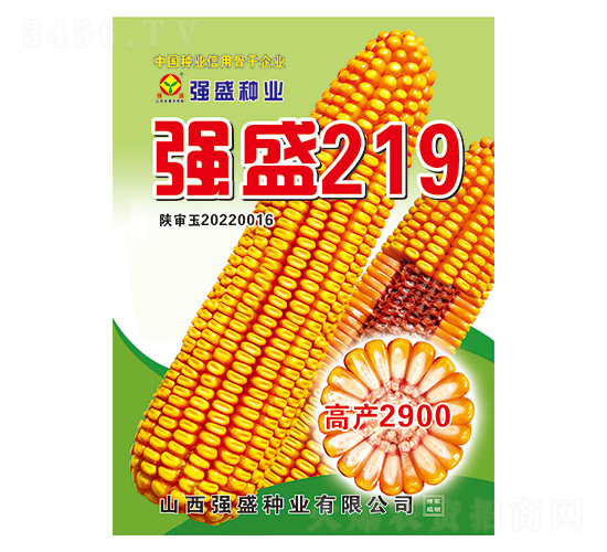 強盛219-玉米種子-強盛種業