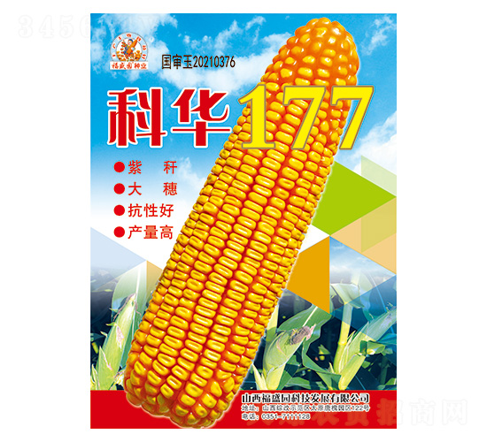 科華177-玉米種子-強盛種業