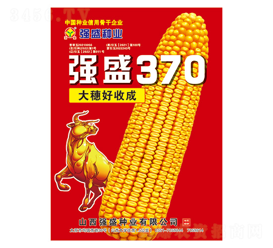 強盛370-玉米種子-強盛種業