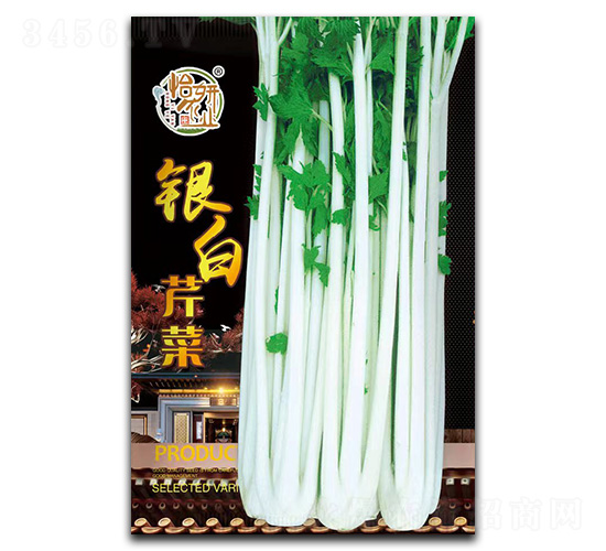 銀白芹菜種子-怡妍農業