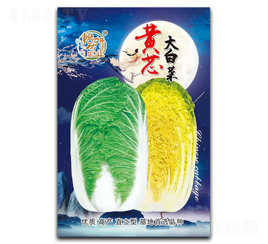 黃芯大白菜種子-怡妍農業