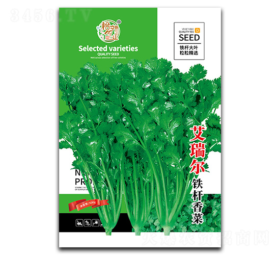 艾瑞爾鐵桿香菜種子-怡妍農業