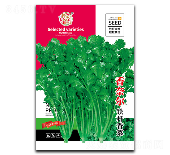 香奈兒鐵桿香菜種子-怡妍農業
