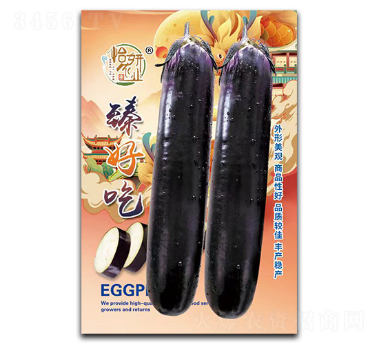 臻好吃-茄子種子-怡妍農業