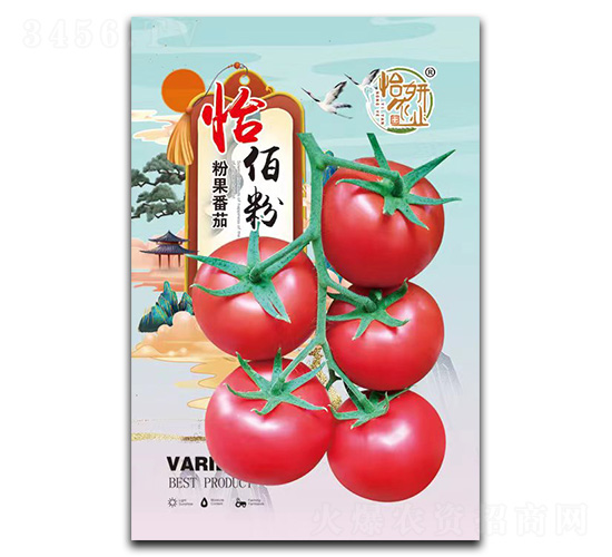 怡佰粉粉果番茄種子-怡妍農業