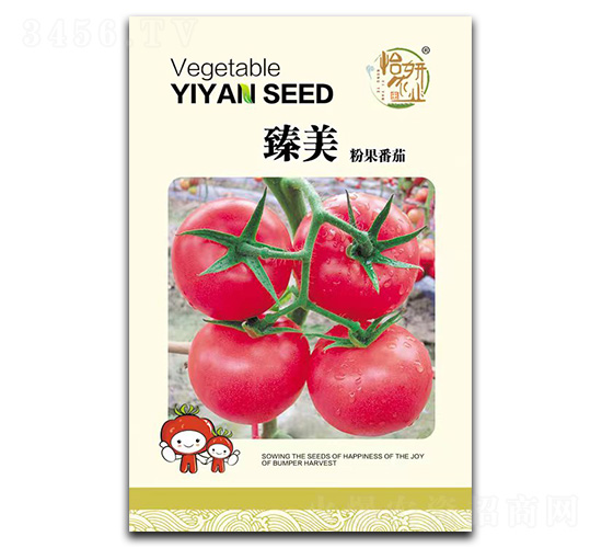 臻美粉果番茄-番茄種子-怡妍農業