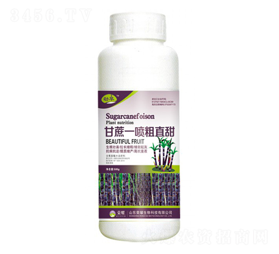 ç”˜è”—ä¸€å™´ç²—ç›´ç”œï¼ˆ500gï¼‰-å‹èƒ-æ¦®è€€è¾²æ¥­