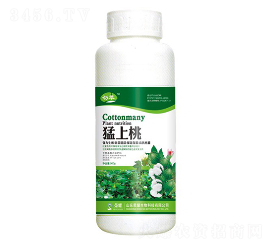 猛上桃（500g）-勁萃-榮耀農業