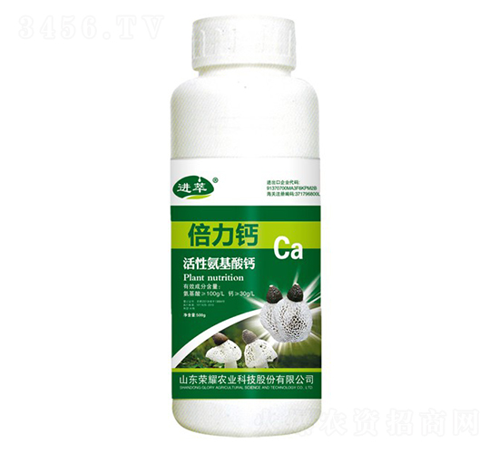 ԰}500g-M-sҫrI