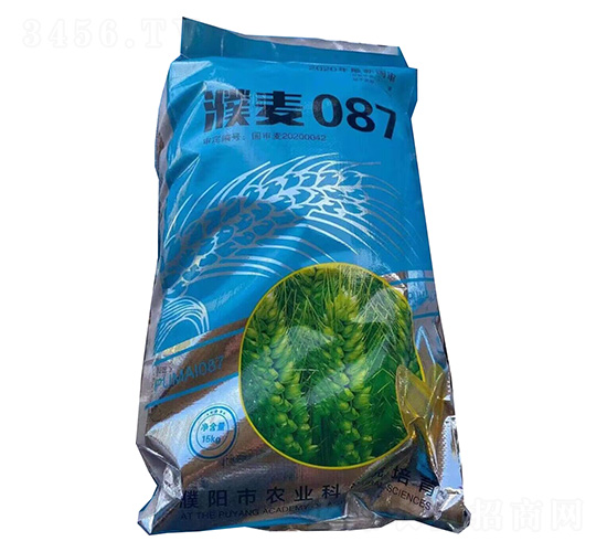 濮麥087-永研農業