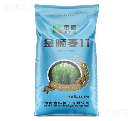 金顆麥11-金顆-永研農業