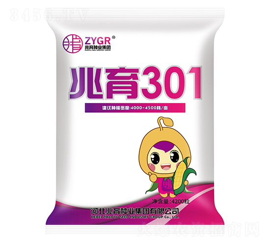 兆育301-玉米種子-兆育種業