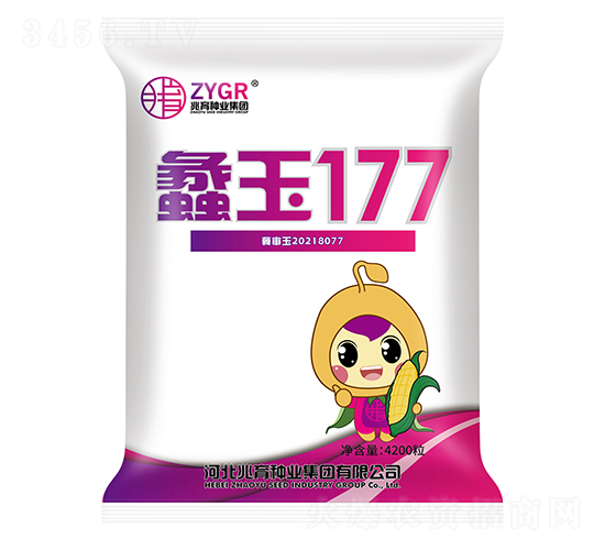 蠡玉177-玉米種子-兆育種業