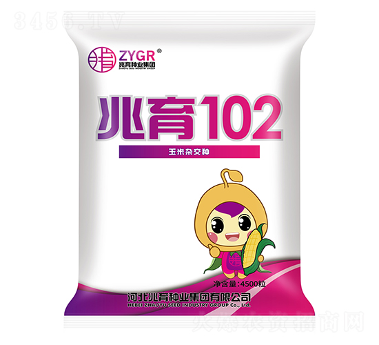 兆育102-玉米種子-兆育種業