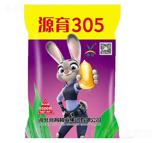 源育305-玉米種子-兆育種業