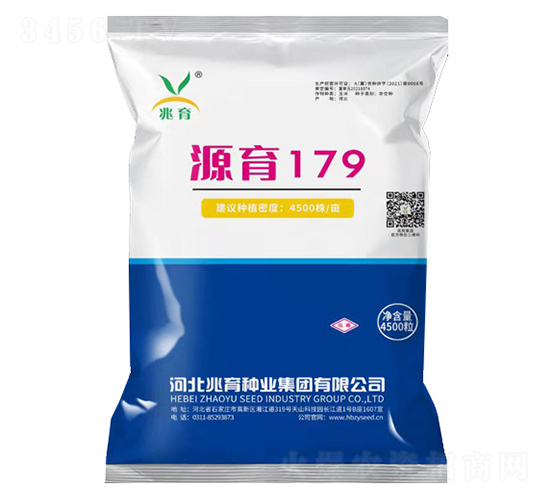 源育179-玉米種子-兆育種業