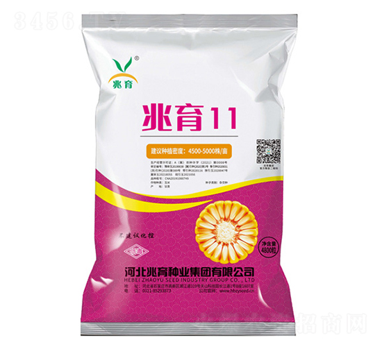 兆育11-玉米種子-兆育種業