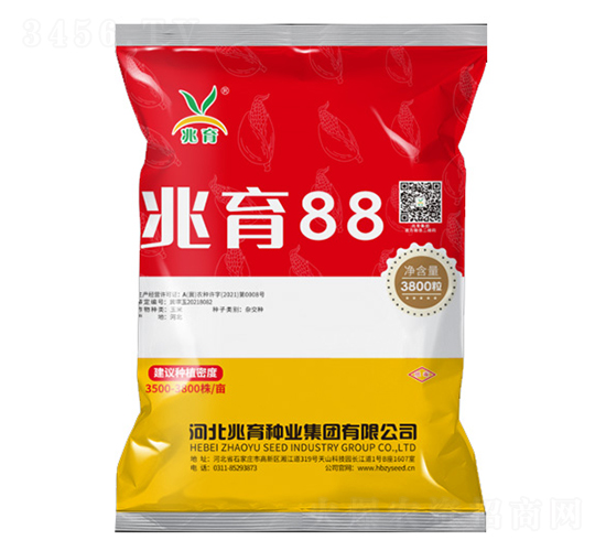 兆育88-玉米種子-兆育種業