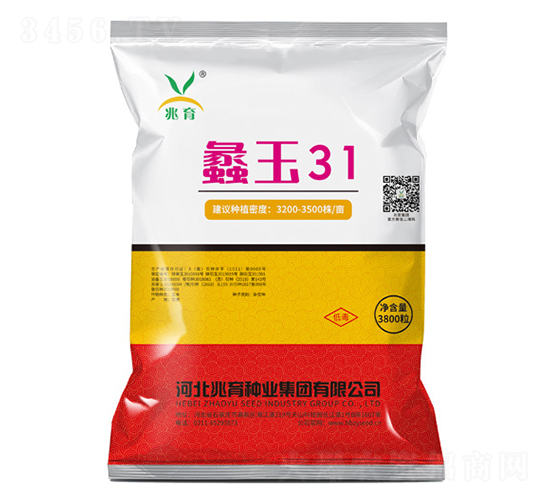 蠡玉31玉米種子-兆育種業