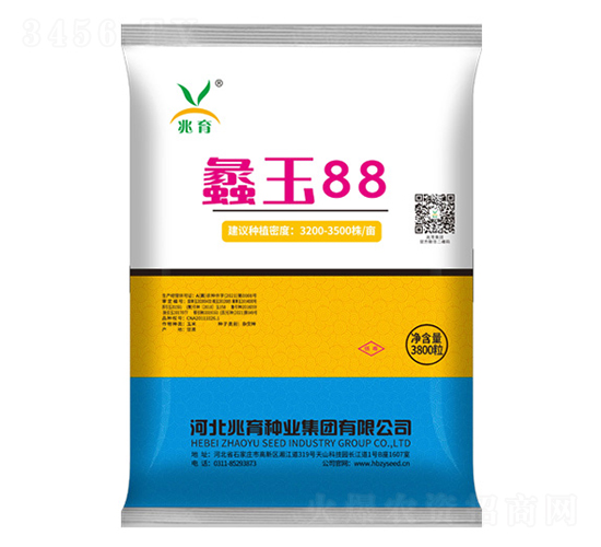 蠡玉88玉米種子-兆育種業