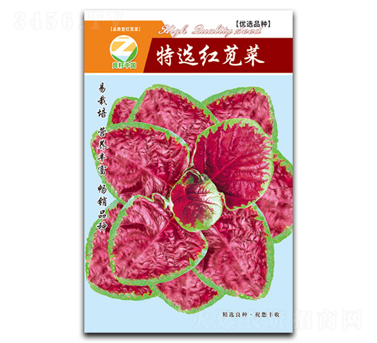 特選紅莧菜-莧菜種子-良籽農業