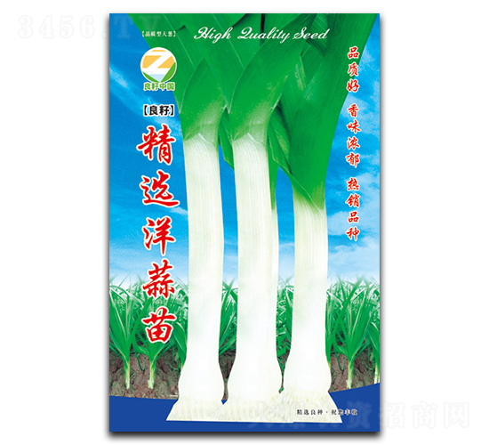 ç²¾é¸æ´‹è’œè‹—-å¤§è’œç¨®å­-è‰¯ç±½è¾²æ¥­(yÃ¨)