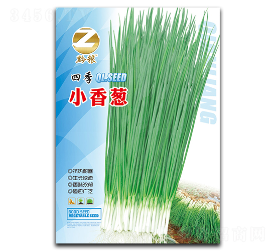四季小香蔥種子-良籽農業
