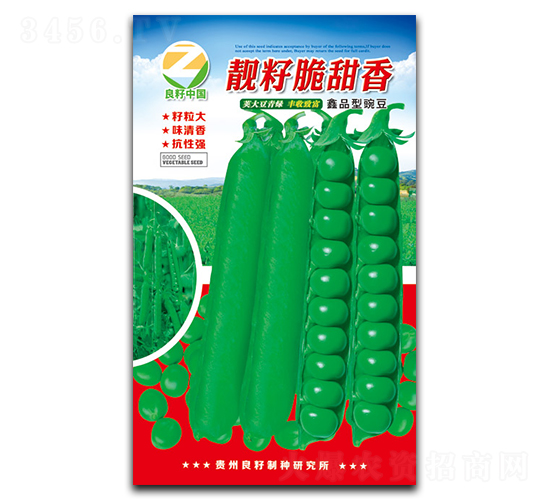 靚籽脆甜香-豌豆種子-良籽農業