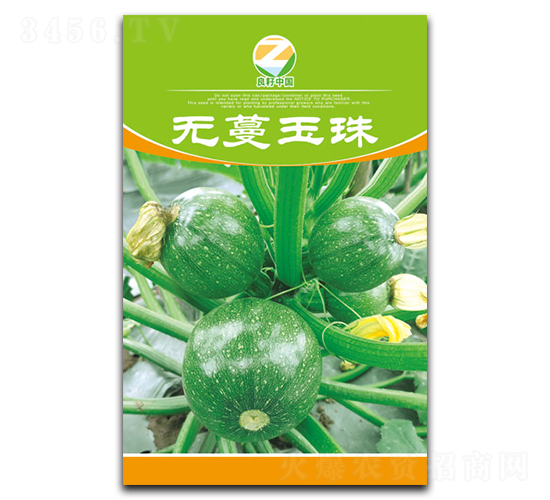 無蔓玉珠-小南瓜種子-良籽農業