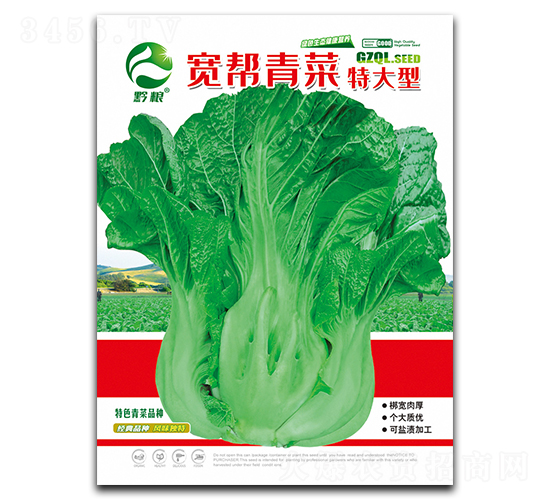 寬幫青菜（特大型）-青菜種子-良籽農業