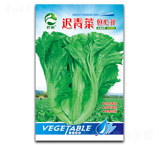 遲青菜包心芥種子-良籽農業